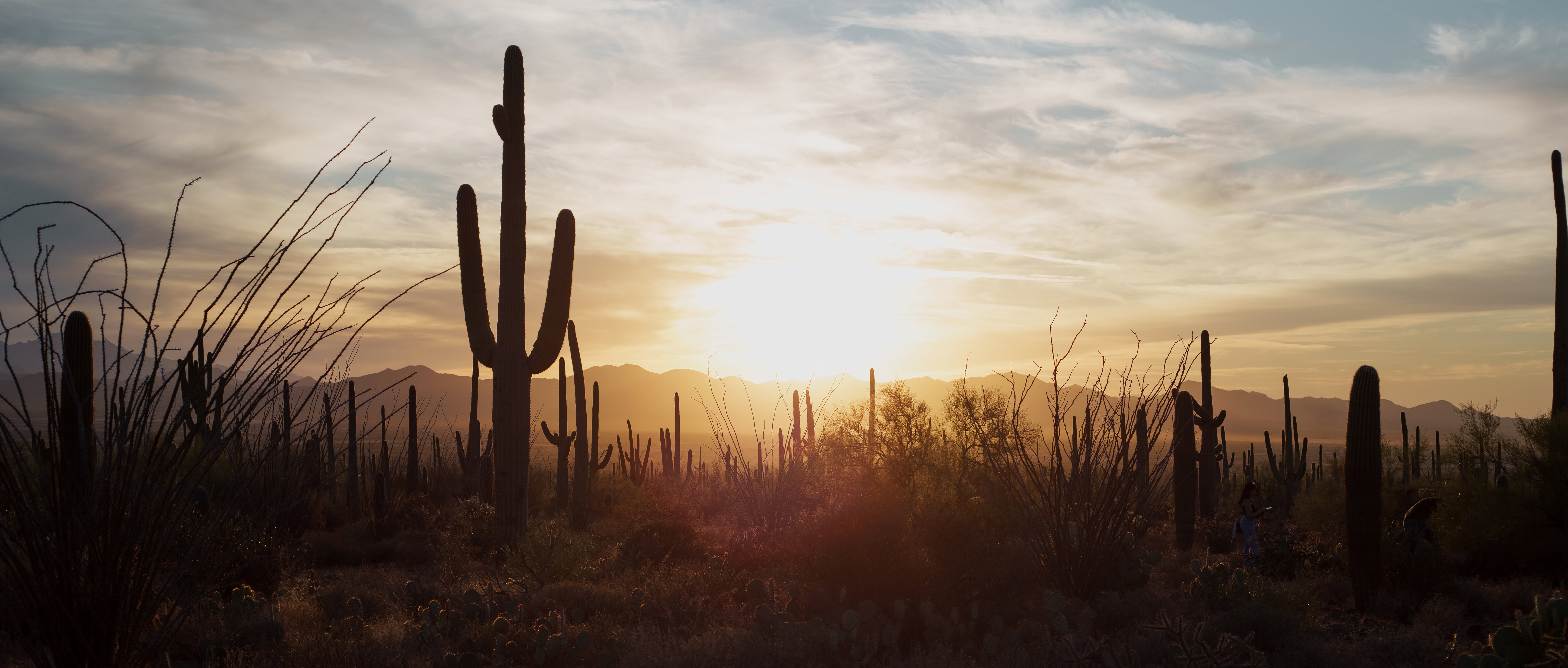 Filming at Mescal Movie Set