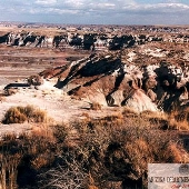 Painted Desert
