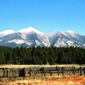 Snowbowl