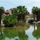 Papago Park - Pond