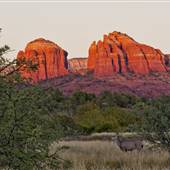 Red Rock State Park