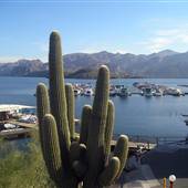 Saguaro Lake