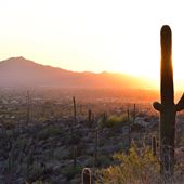 Pima Canyon Trail