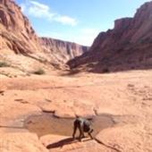Ferry Swale Canyon