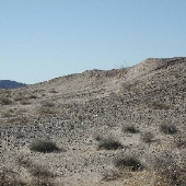 Parker Landscape