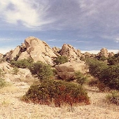 Texas Canyon