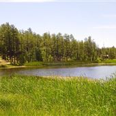 Woodland Lake Park