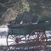1800s Spring Wagon