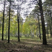 City of Flagstaff Parks and Recreation