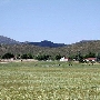 W Diamond Ranch