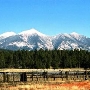 Snowbowl