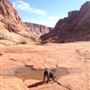 Ferry Swale Canyon
