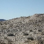 Parker Landscape