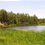 Woodland Lake Park