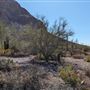 Boy Scouts Double V Scout Ranch