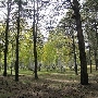 City of Flagstaff Parks and Recreation