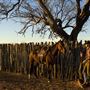 Sands Ranch