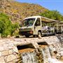 Sabino Canyon