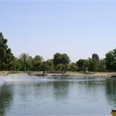 Roadrunner Park