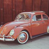 1961 VW Bug