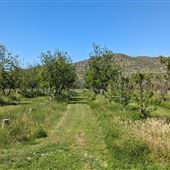 Aravaipa Farms Orchrd and Inn