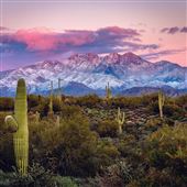 Rio Rancho Verde