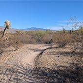 Fantasy Island Mountain Bike Park