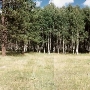 Coconino National Forest