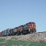 Seligman Train