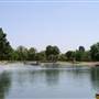 Roadrunner Park