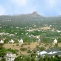 Prescott Landscape