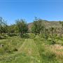 Aravaipa Farms Orchrd and Inn
