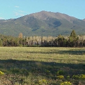 Hart Prairie Lodge