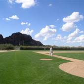 Baseball/Softball Stadiums in Phoenix