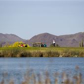 Crooked Tree Golf Course