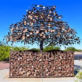 Oro Valley Public Art