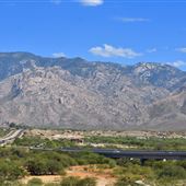 Tangerine Road