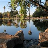 Reid Park