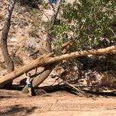 Hackberry Canyon