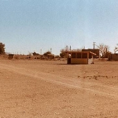 Sacaton
