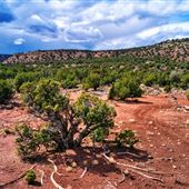 Outdoor location NorthEastern Arizona (Near Springerville) 40 acres