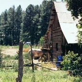 Payson Barns/ Silo