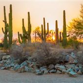 Riparian Preserve at Water Ranch