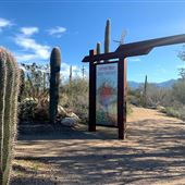 Maeveen Behan Desert Sanctuary