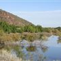 El Rio Preserve