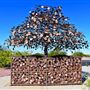 Oro Valley Public Art