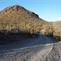 Saguaro National Park