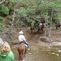 Cherry Creek Lodge