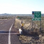 Seligman Route 66