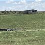 Palmer Ranch